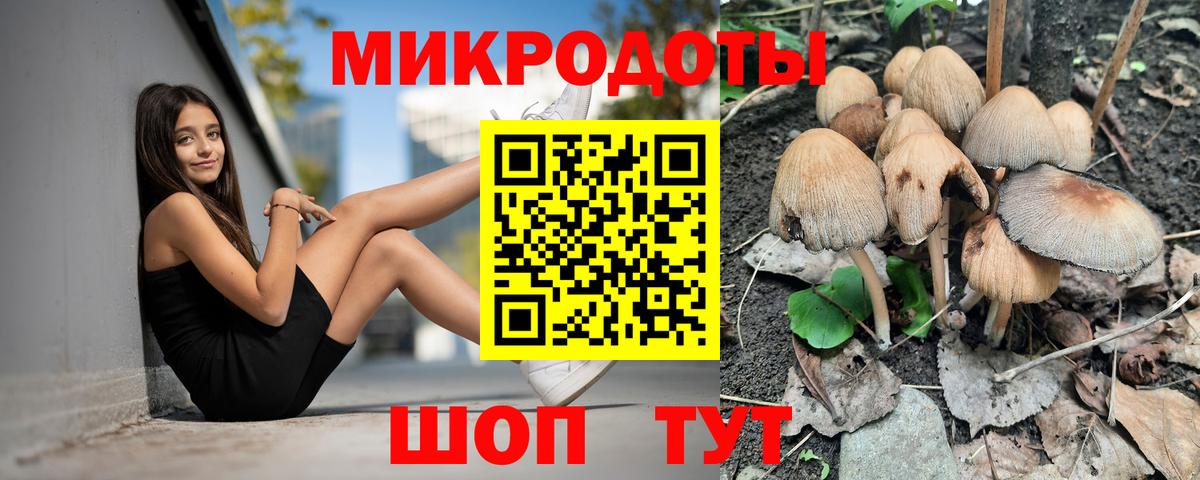 Псилоцибиновые грибы GOLDEN TEACHER Арсеньев