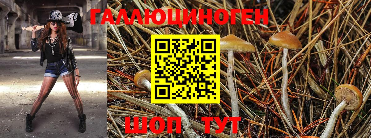 Псилоцибиновые грибы MAGIC MUSHROOMS  закладка  Арсеньев  Галлюциногенные грибы мухоморы  Вход с VPN 
